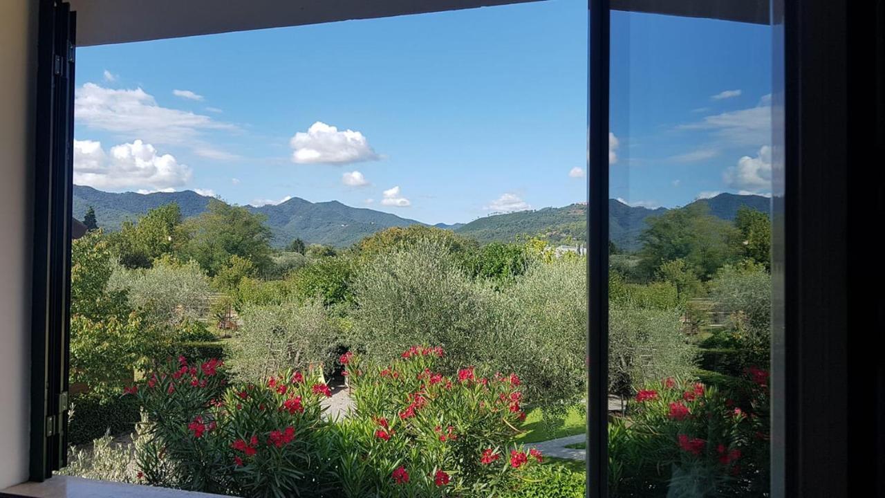 Salvia E Rosmarino - Affittacamere In Liguria 빌라노바 달벤가 외부 사진